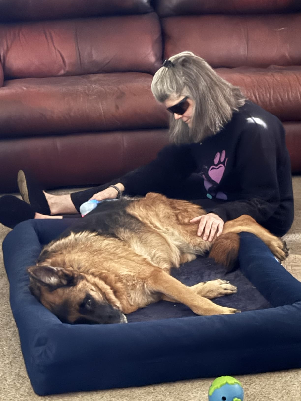 LLLT Cold Laser Therapy Device with Protective Magnetic Cover, 5 * 808nm & 10 * 650nm Human/Vet Handheld Infrared Red Light Therapy, Pet Dogs Treatment Device for Muscle Pain Relief & Improve Healing customer photo 2