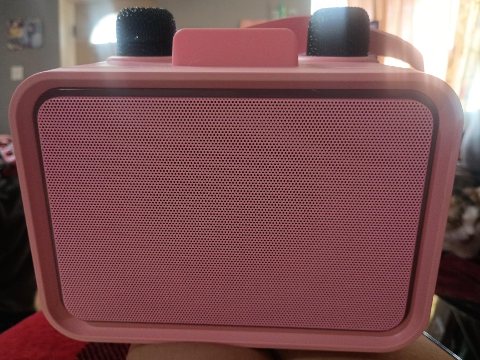 Karaoke Machine for Kids Adults,Bluetooth Speaker 2 Wireless Microphones customer photo 2