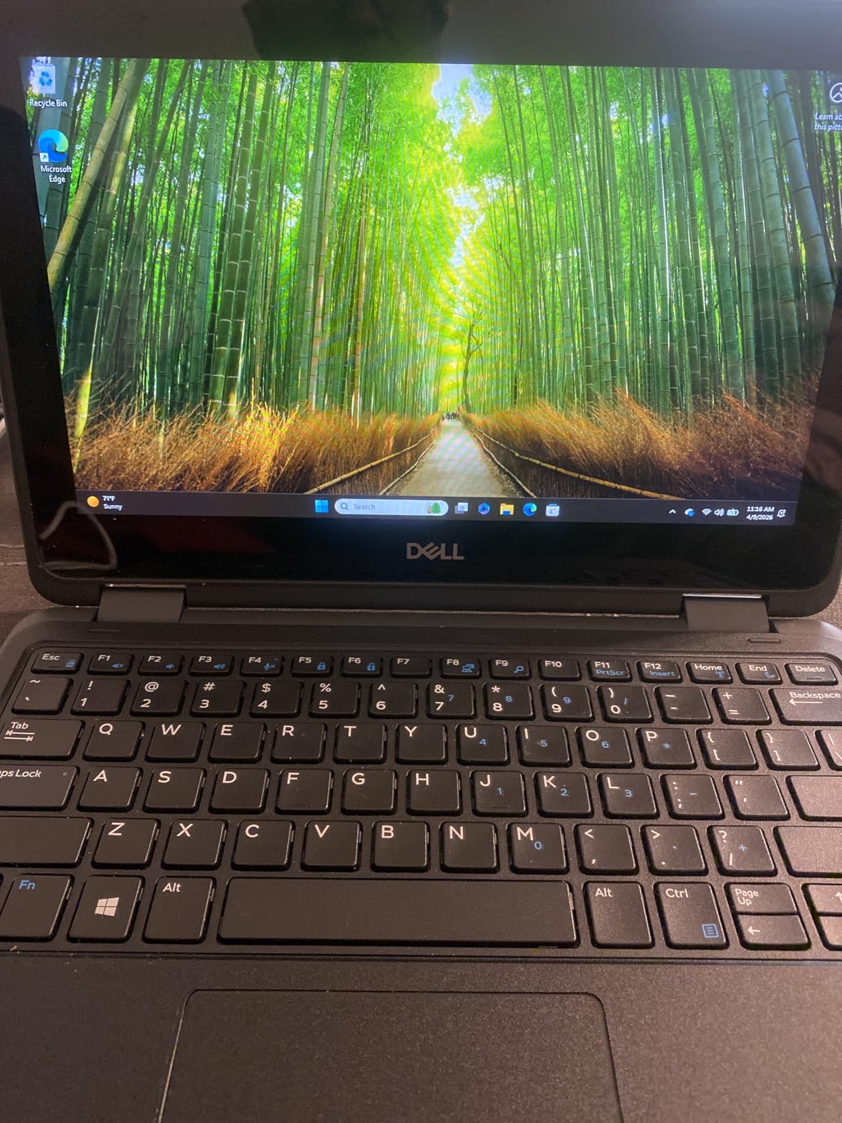 Dell Latitude 3190 11.6