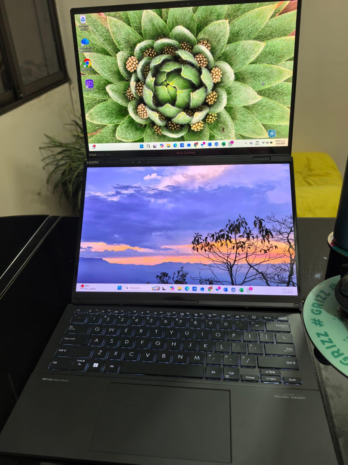 ASUS Zenbook Duo Laptop, Dual 14