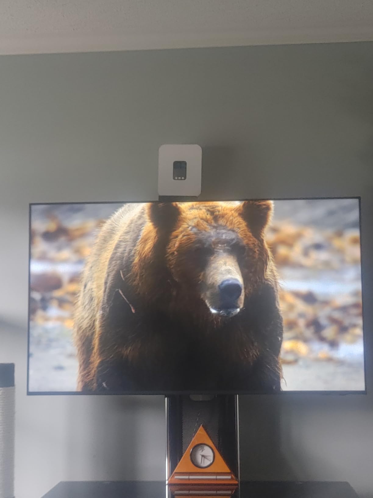 Samsung 58-Inch Class Crystal UHD U8000F 4K Smart TV (2025 Model) Endless Free Content, Processor, MetalStream Design, Knox Security, Alexa Built-in customer photo 1