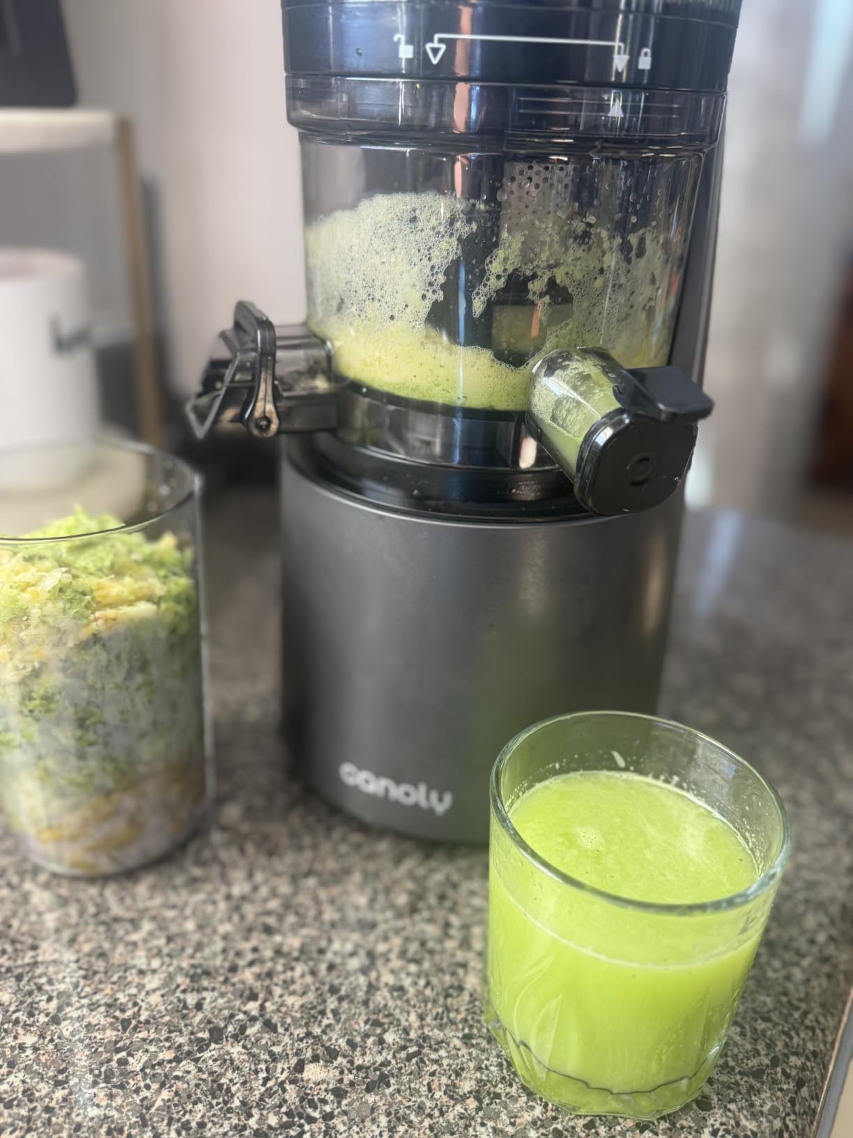 Canoly C16 Cold Press Juicer, 6