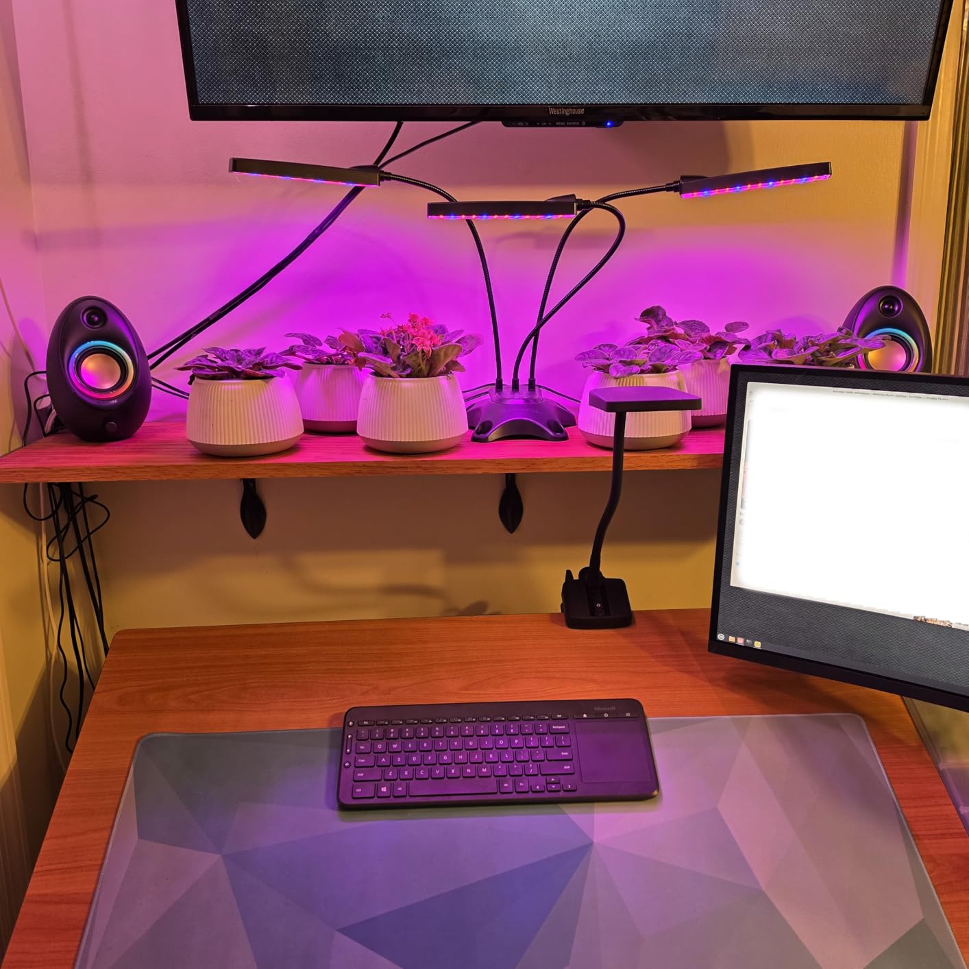 Bluedee Computer Speakers with Subwoofer, 2.1 PC Speakers with Deep Bass and 80W Peak Power, Adapter Powered, Bluetooth 5.4 & USB/USB-C/AUX-in, RGB Desktop Speakers for Computer, Laptop, Monitor customer photo 1