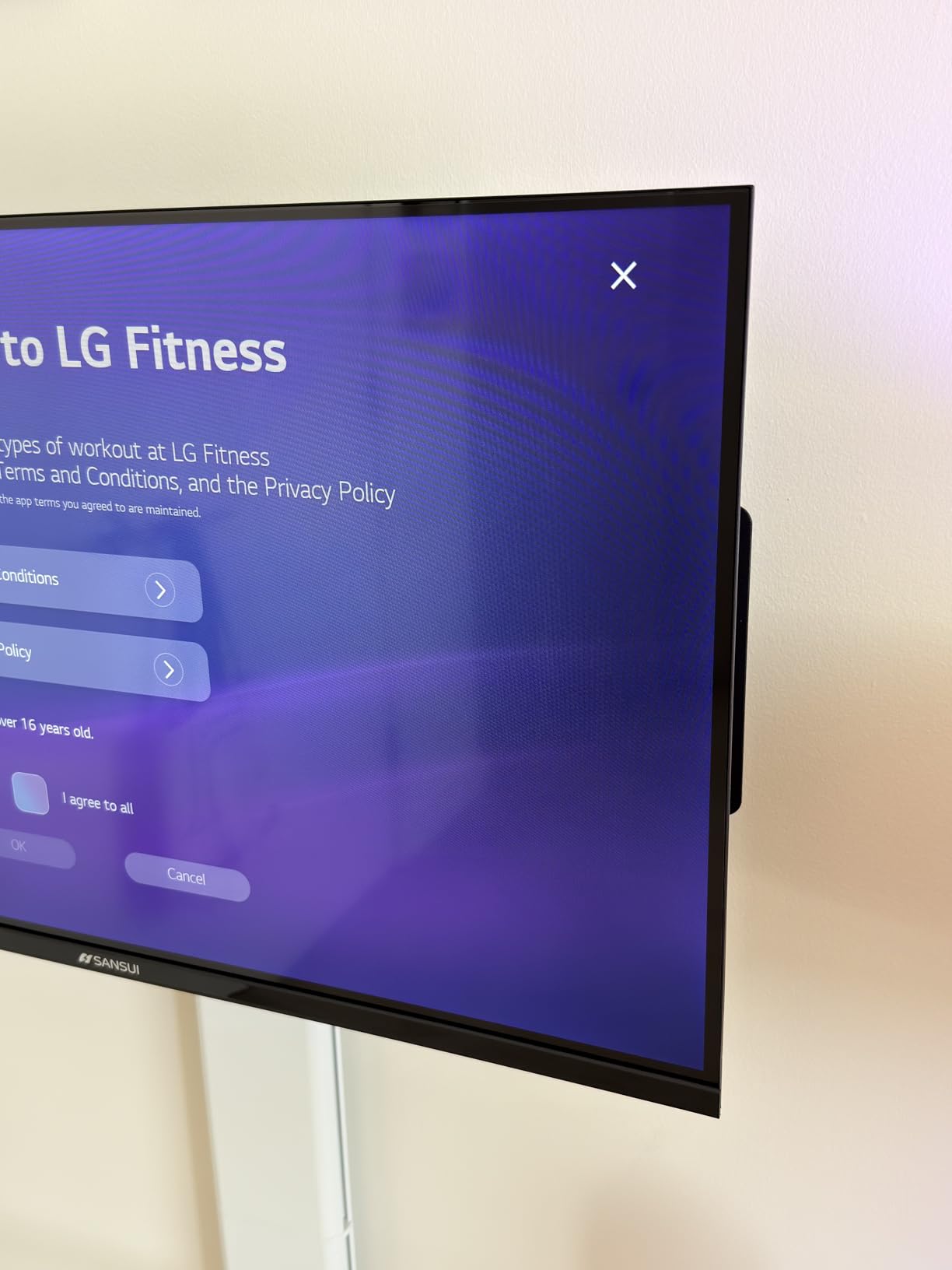 SANSUI 24 inch 768P DLED Smart WebOS TV | Small Television with Chromecast Built in | WebOS hub Compatible with HomeKit | Support Airplay & WiFi Connection & Bluetooth 5.2 & 2 * 8w Speakers customer photo 2
