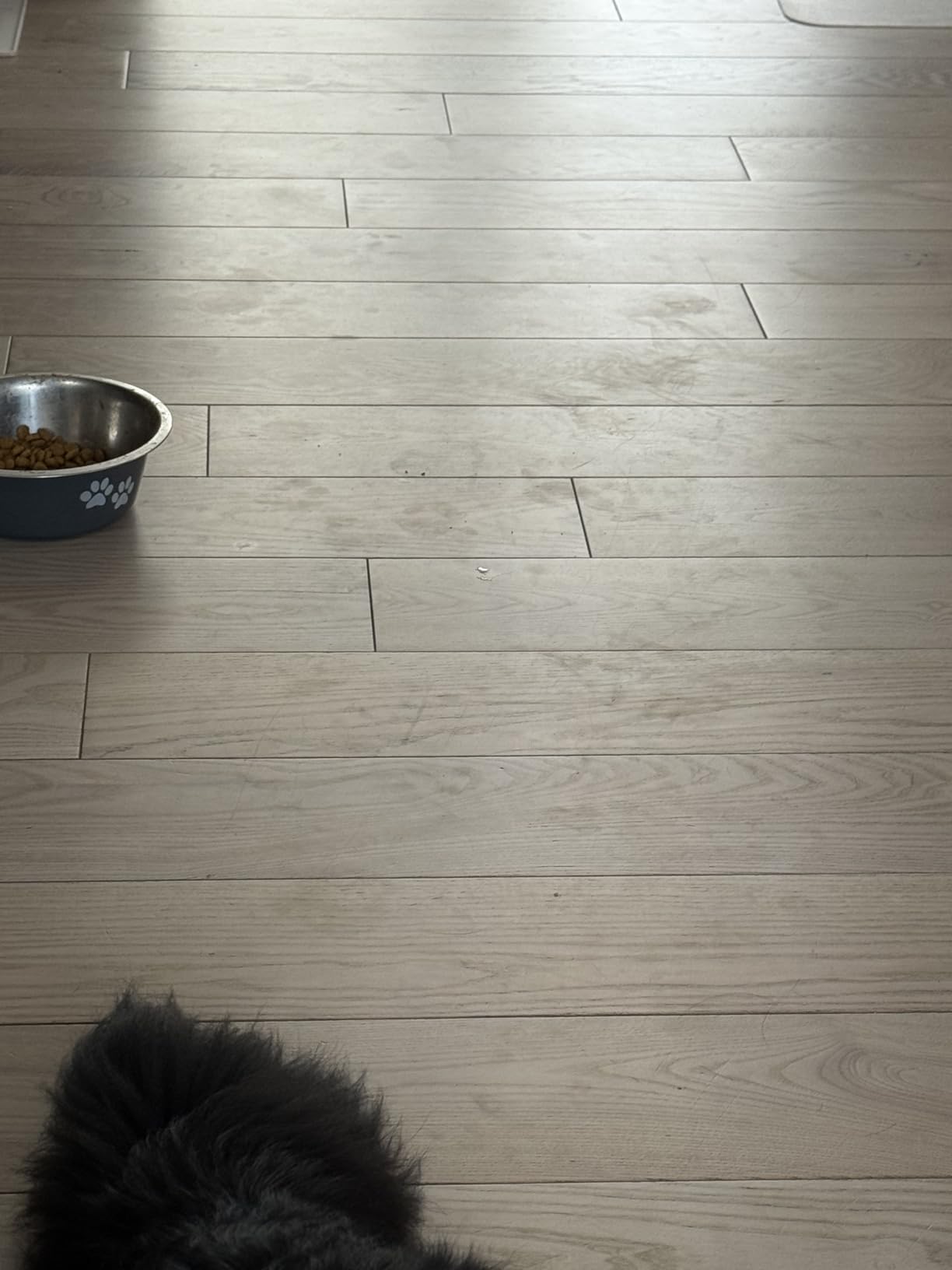 iRobot Roomba 705X Robot Vacuum & Mop Combo, 175x More Suction, Extending Self-Cleaning Roller Mop, Multifunction Dock, 75 Day AutoEmpty, Hot Wash/Dry, AI Smart Obstacle Avoidance, Ideal for Pet Hair customer photo 1