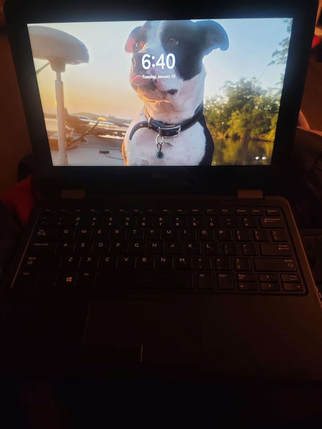 Dell Latitude 3189 11.6
