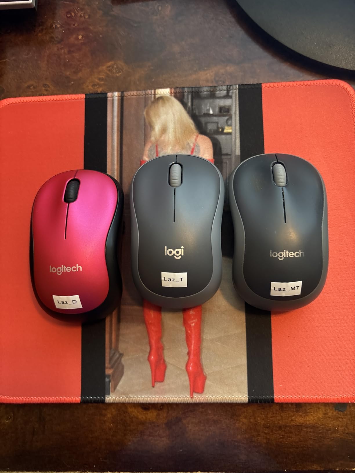 Logitech M185 Compact Ambidextrous Wireless Mouse with Rubber Grips - Blue customer photo 2