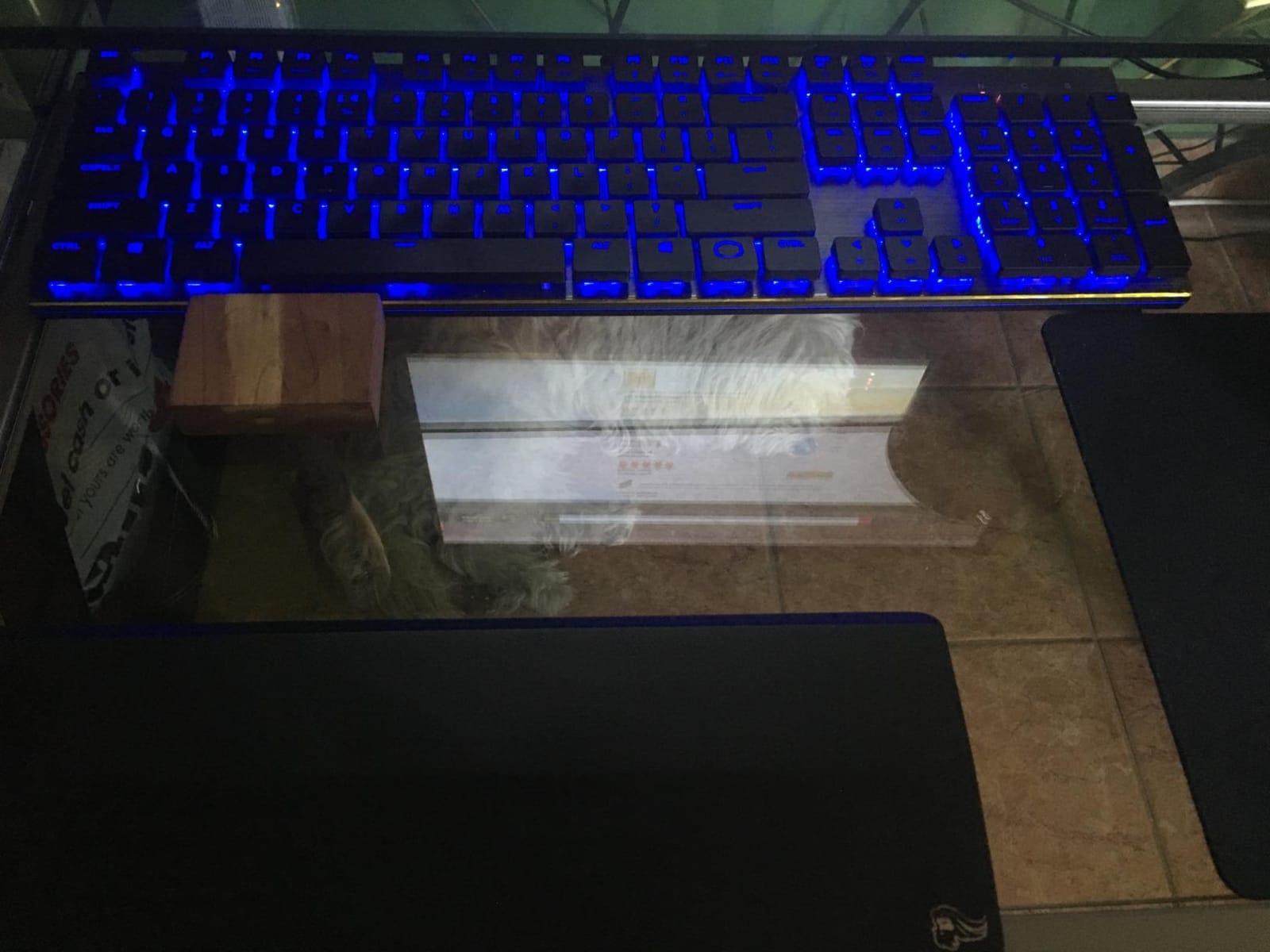 Glorious Wooden Wrist Rest - TENKEYLESS (TKL) - Onyx/Black - Mechanical Keyboards Wood Ergonomic Palm Rest| 14x4 inches/19mm Thick (GV-87-DARK) customer photo 1