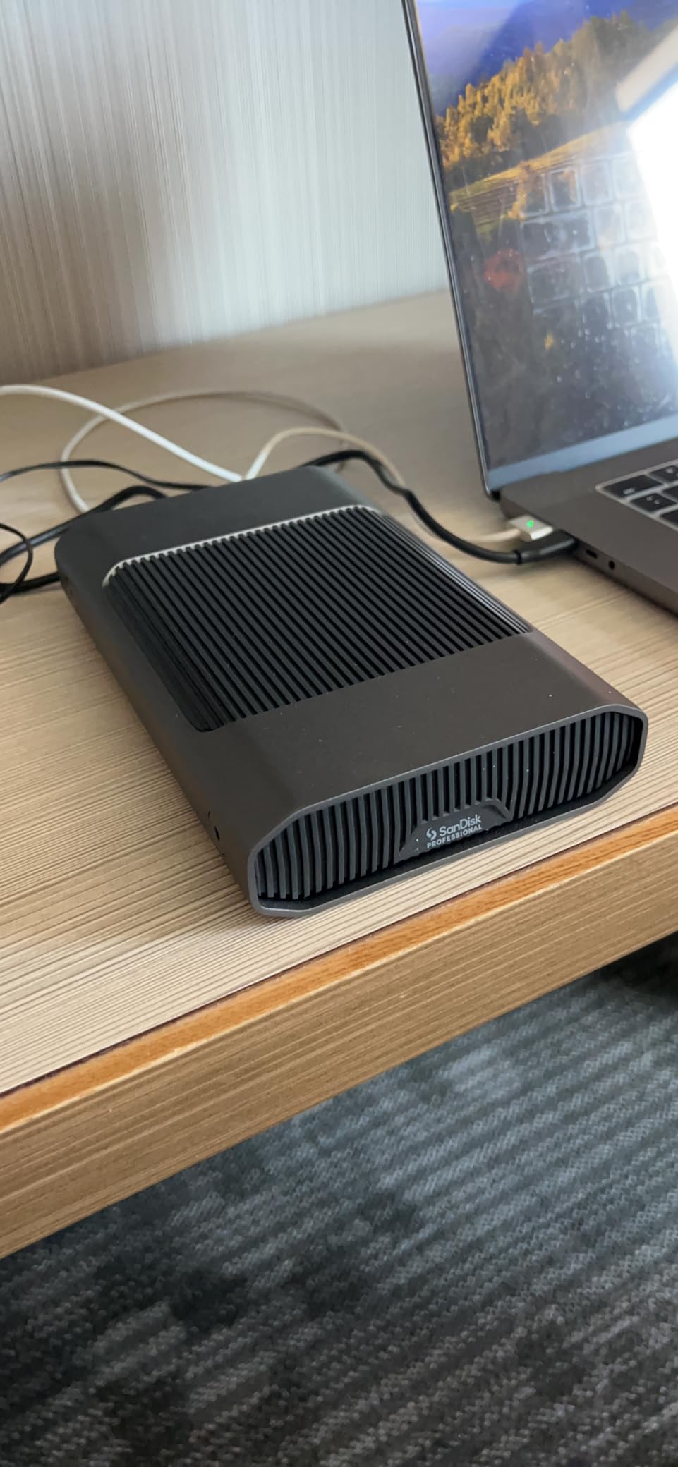 G-Technology 12TB G-DRIVE with Thunderbolt 3 and USB-C Desktop External Hard Drive, Silver - 0G05383-1 customer photo 2