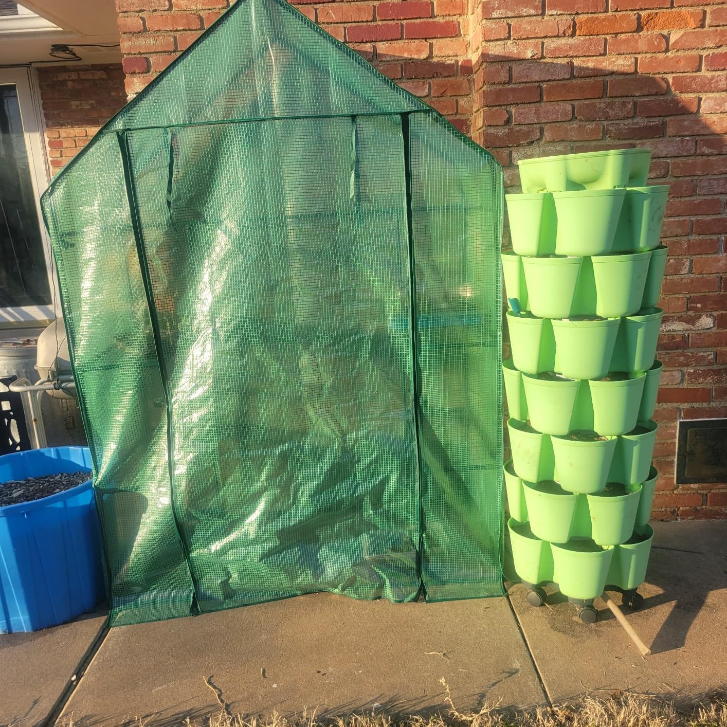 Mini Greenhouse,Greenhouses for Outdoors,Portable Walk in Green House for Garden Plants that Need Frost Protection and Away from Animals(56