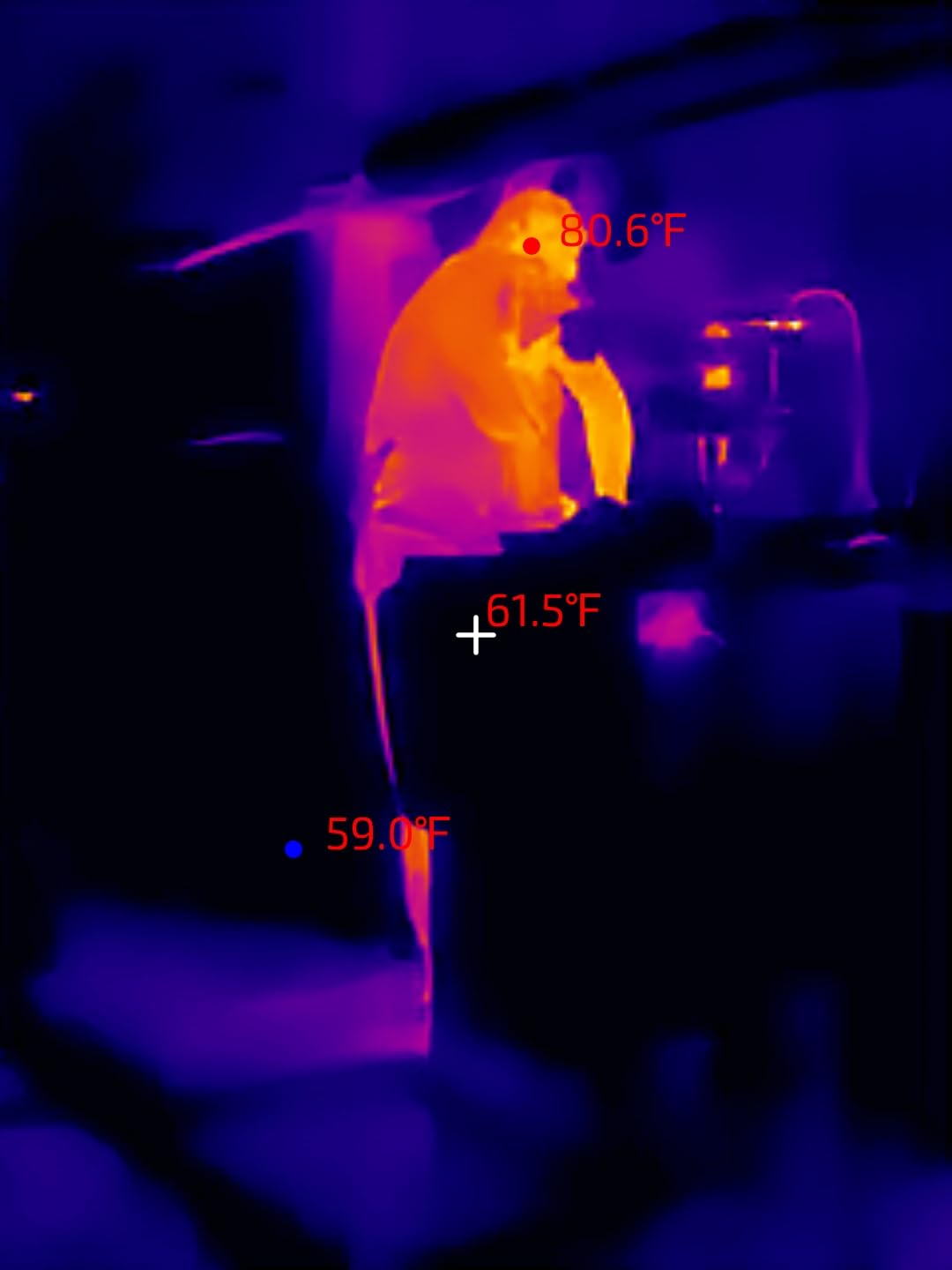 Thermal Master P1 Thermal Camera for USB-C iOS/Android, 320x240 Resolution | -4°F to 1112°F, ±3.6℉ Accuracy Thermal Imaging Camera for Home, HVAC, Electrical and Auto Inspections (P1 Grey) customer photo 2
