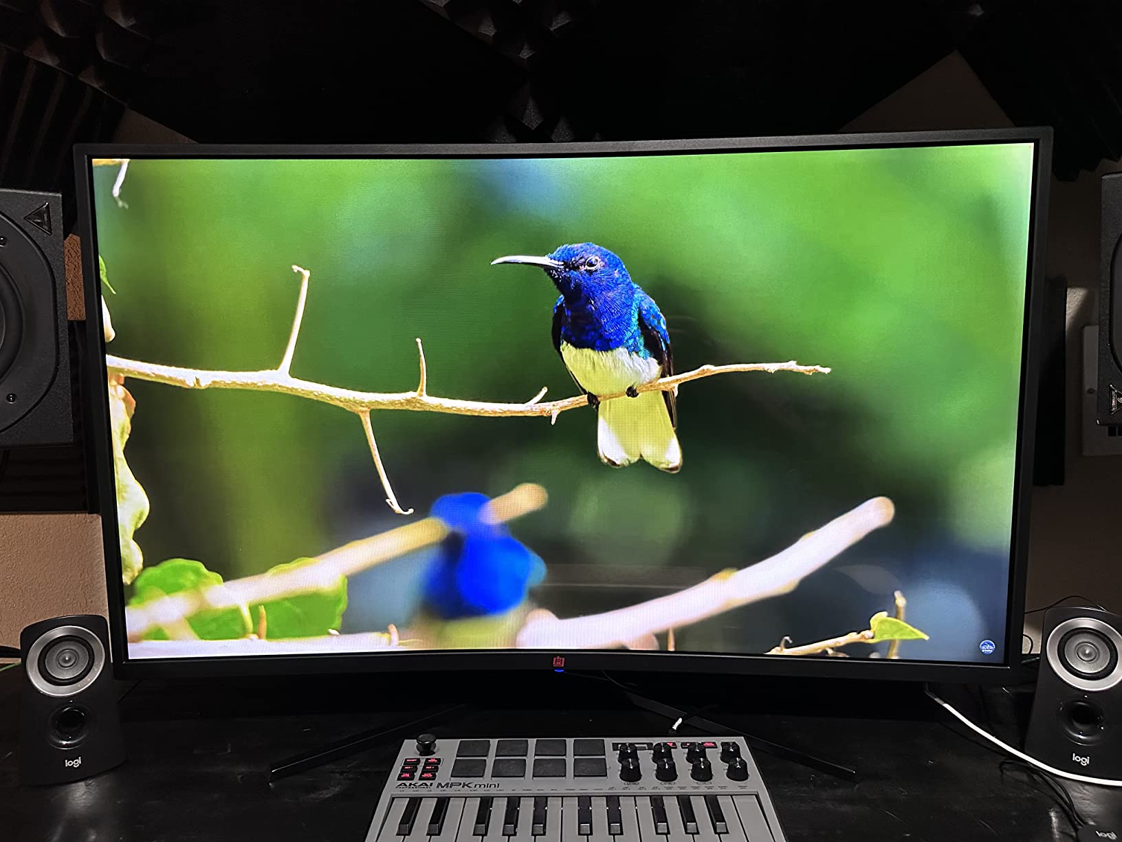 Deco Gear 40 Curved 5K2K Nano IPS Monitor | 5120x2160 UltraWide 21:9 Display, 120 Hz Refresh | 65 W USB-C PD | HDR, Adaptive Sync | Built-in Speakers for Work customer photo 1