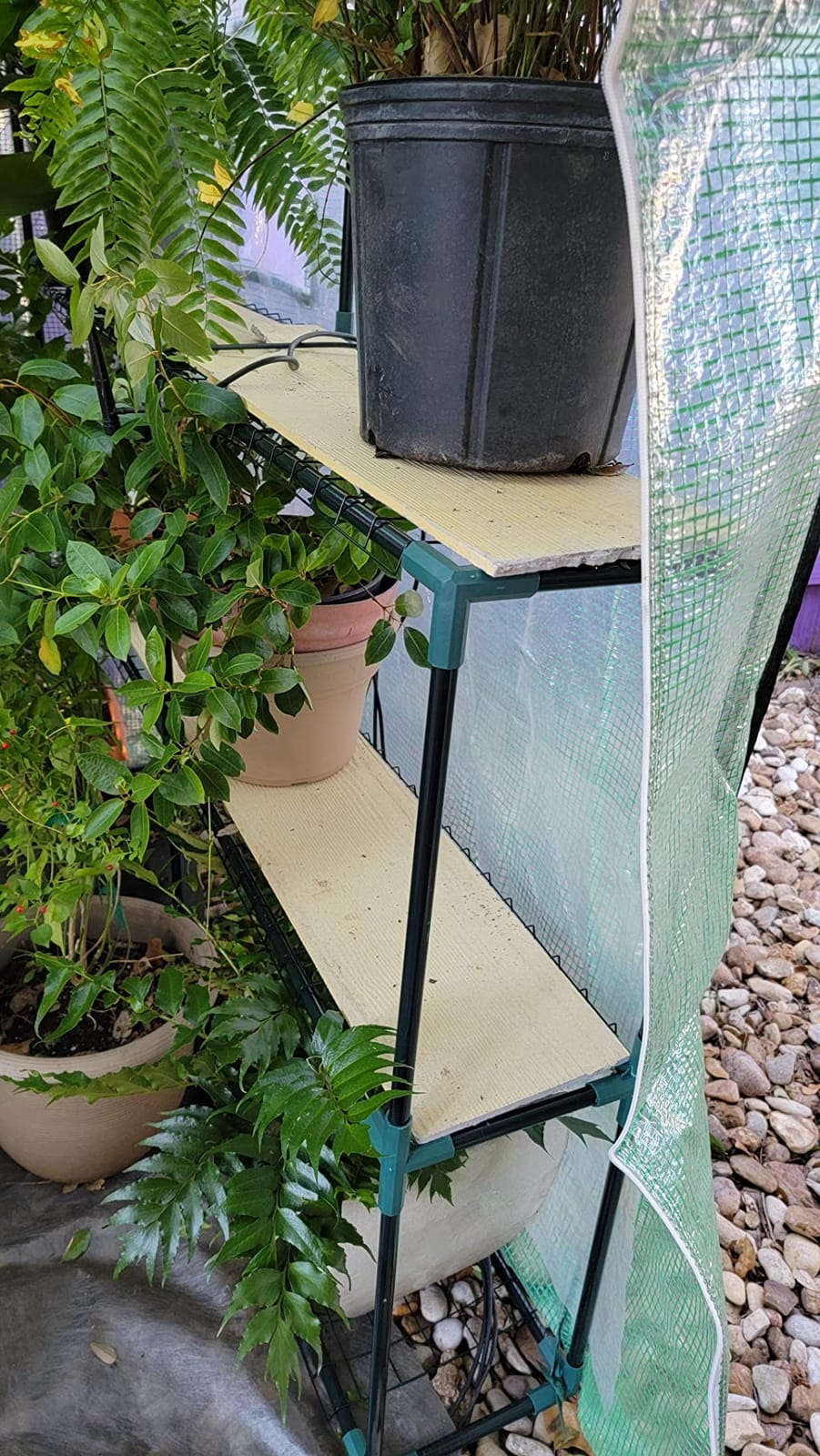 Ohuhu Plastic Greenhouse for Outdoors: Portable Walk in Plant Green House with Improved Transparent PVC Cover, 3 Tiers 12 Shelves Stands Small Greenhouses Backyard Green Houses for Outside Heavy Duty customer photo 2