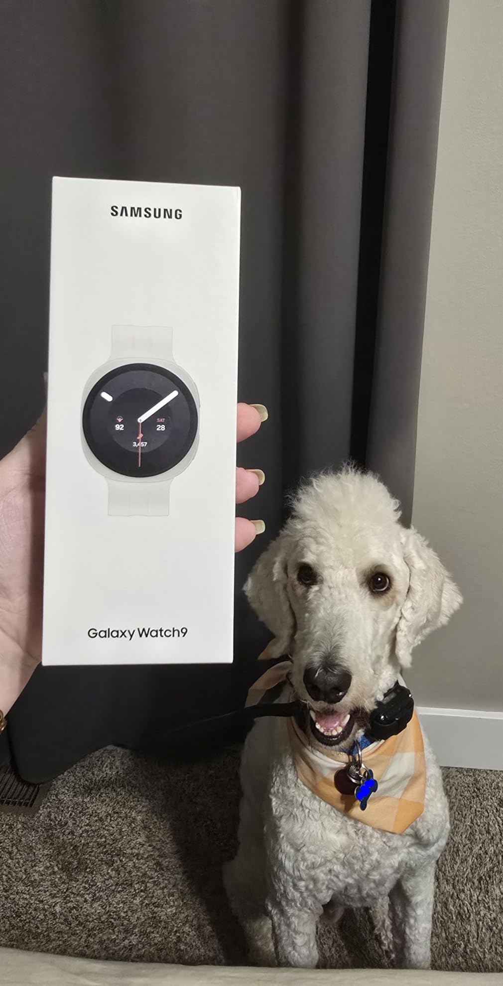 Galaxy Watch9, Graphite, 40mm Bluetooth Smartwatch | AI Assistant, Fitness Tracker, Sleep Coaching and Running Coaching with Heart Rate Tracking [US Version, 2 Yr Warranty] customer photo 1