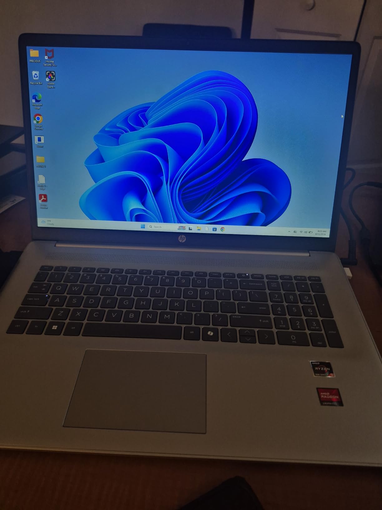 HP 17.3