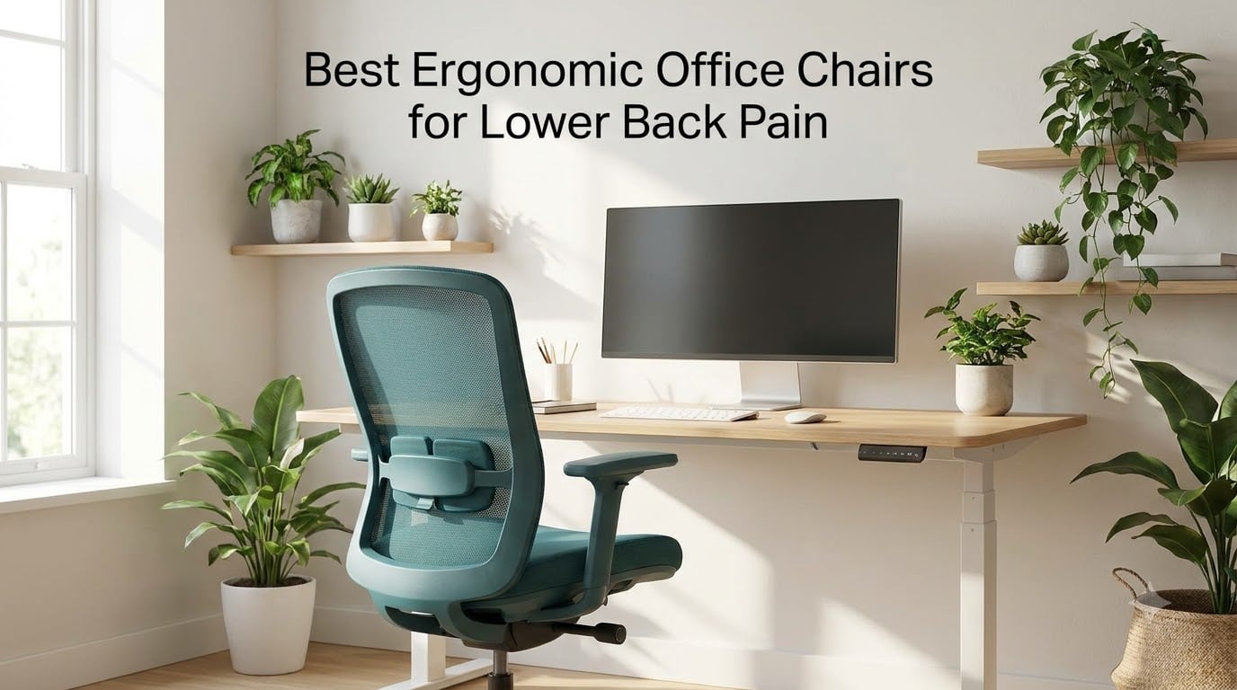 Best Ergonomic Office Chairs for Lower Back Pain