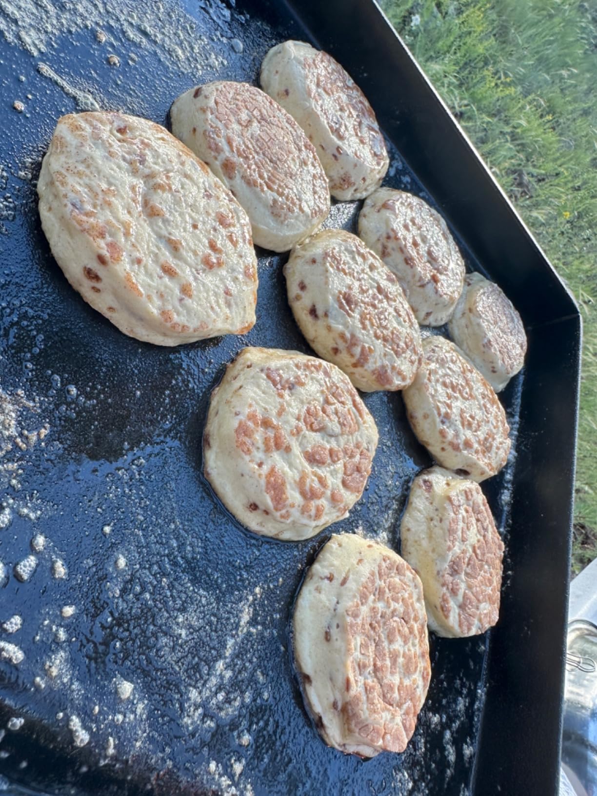 Camp Chef Professional Fry Griddle, 14