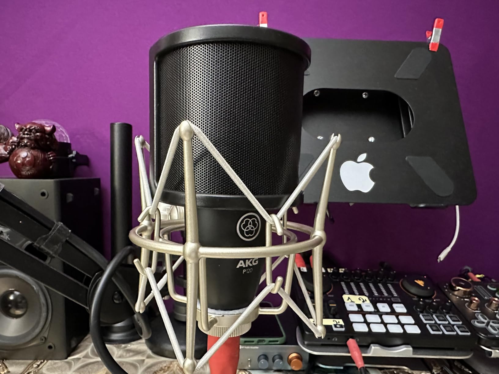 AKG Pro Audio P120 - Affordable 2/3-Inch Diaphragm Condenser Microphone for Clear Vocals & Instruments. Studio Recording or Live. XLR Connector. Black customer photo 2