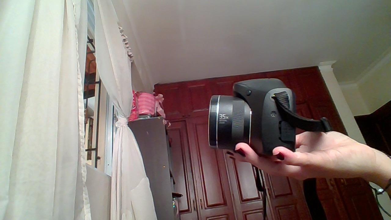 Sony Cyber-shot DSC-H300 20.1 MP Digital Camera - Black (Renewed) customer photo 2