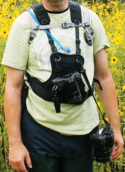 Nicama Camera Harness Carrier Chest Vest for 2 Cameras Canon Nikon Sony customer photo 1