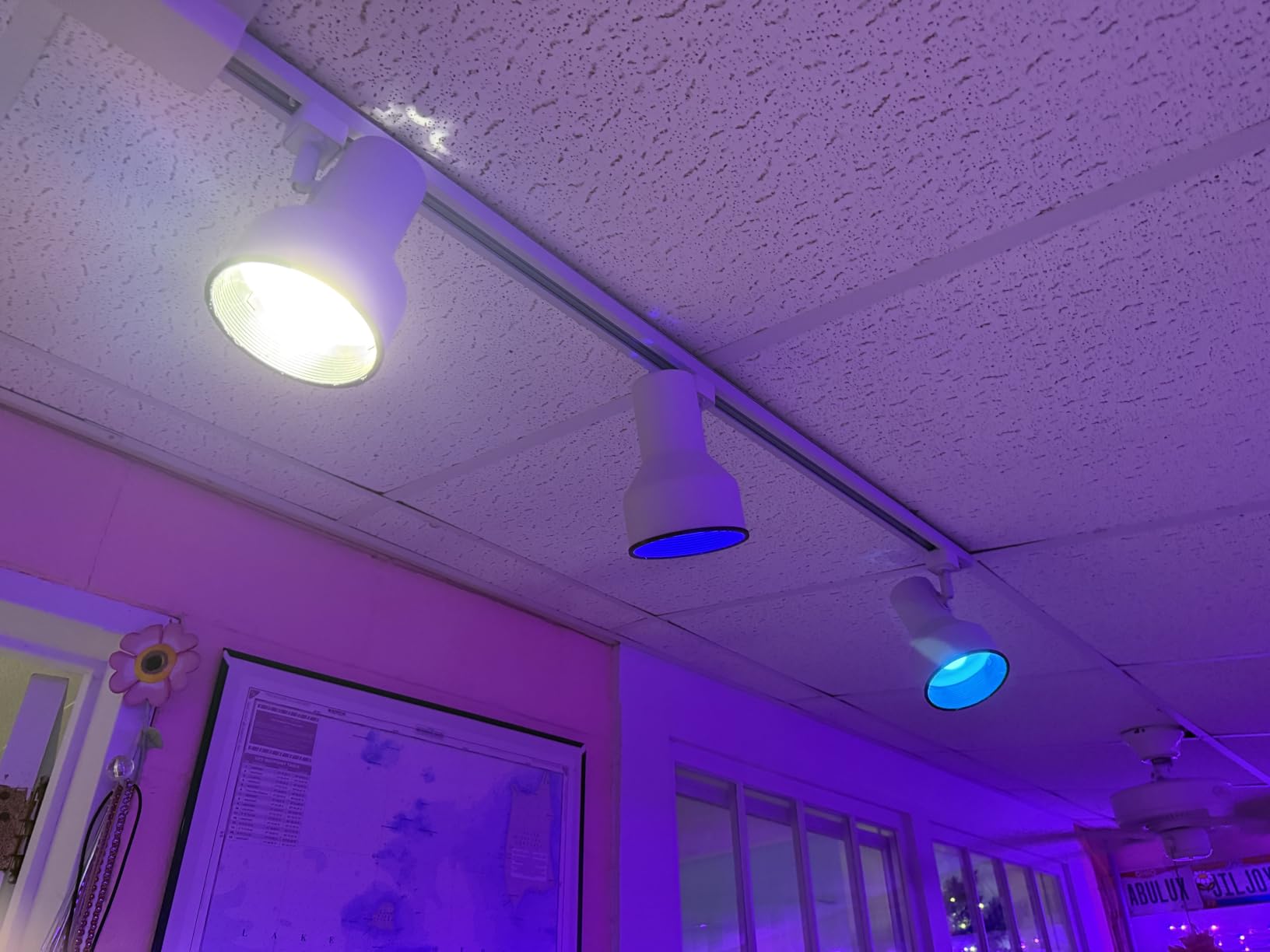 ILC RGB LED Light Bulb, Color Changing Light Bulb, 40W Equivalent, 450LM, 2700K Warm White 5W E26 Screw Base RGBW, A15 Colored Light Bulbs - 12 Color Choices - Timing Infrared Remote Control (4 Pack) customer photo 1