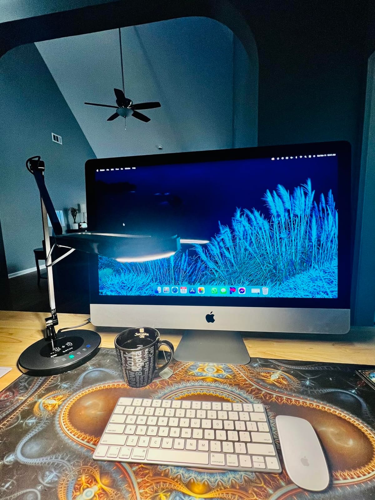 OTUS LED Architect Desk Lamp for Home Office, Adjustable Swing Arm customer photo 2