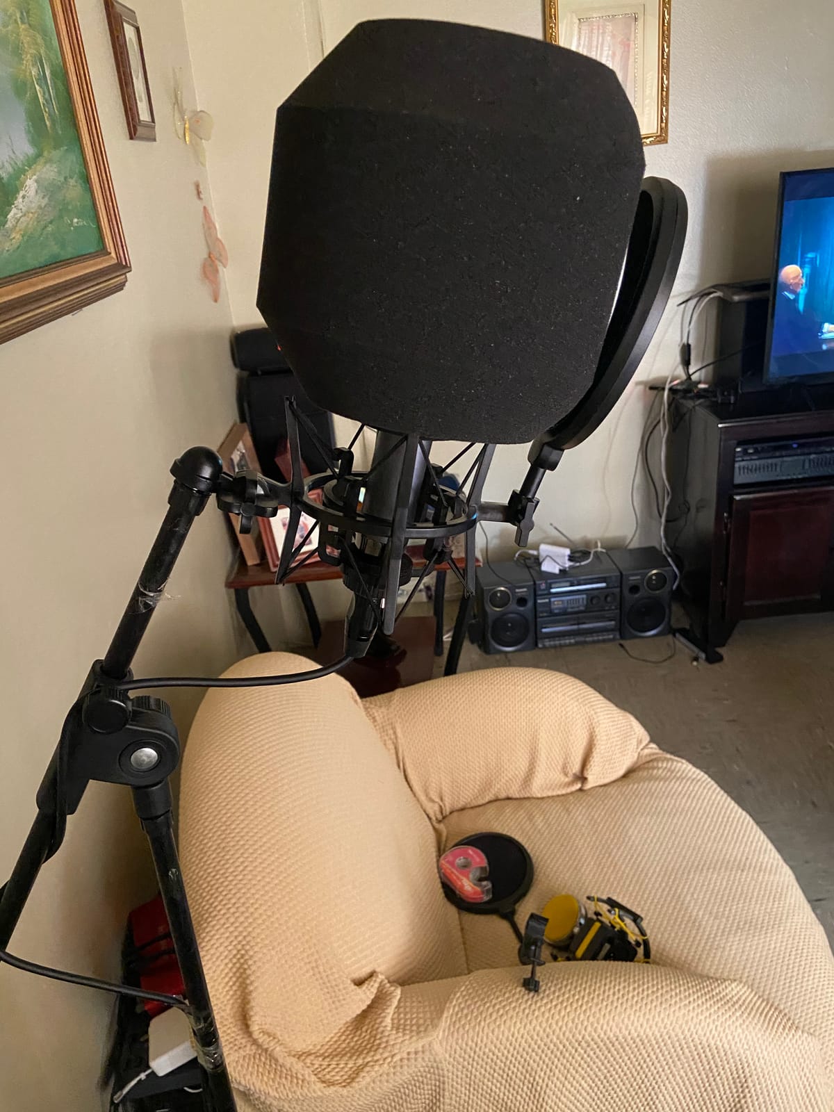 Blue Ember XLR Condenser Mic for Recording and Streaming, Custom Cardioid Capsule and Mic Stand Mount, Gray customer photo 1