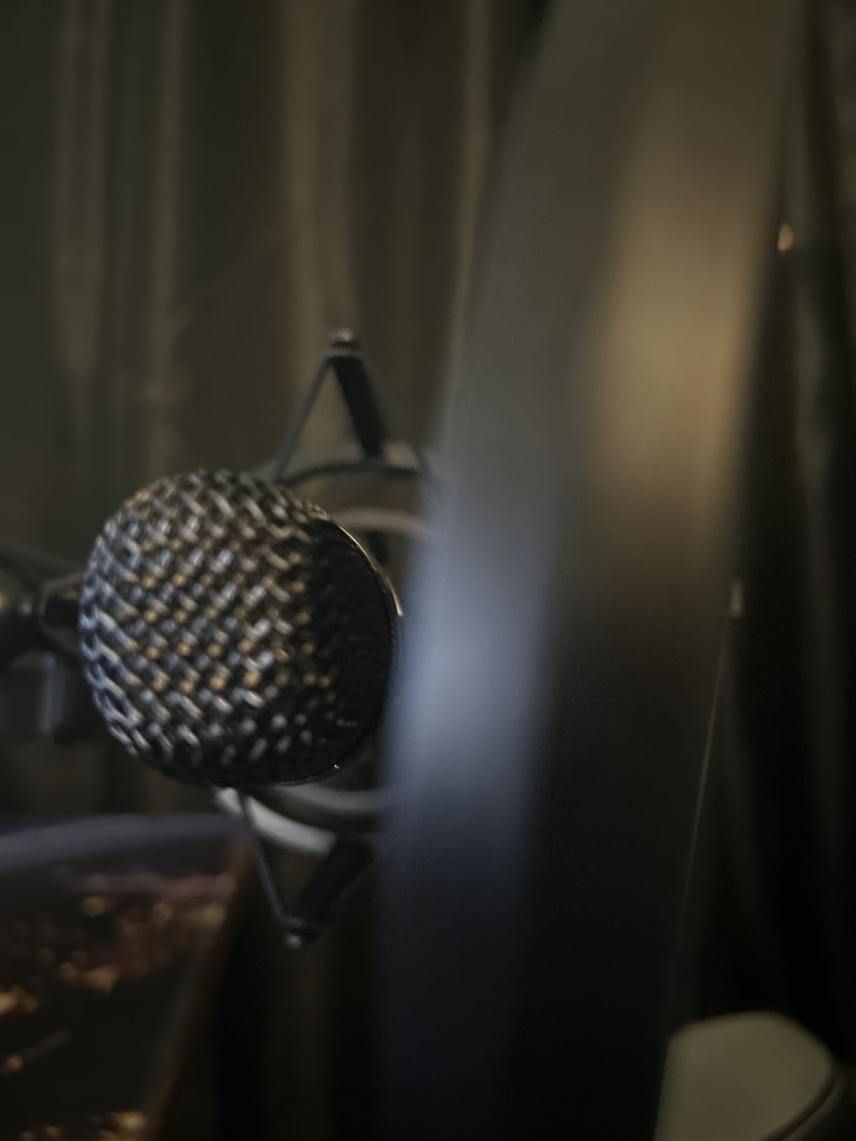 Blue Ember XLR Condenser Mic for Recording and Streaming, Custom Cardioid Capsule and Mic Stand Mount, Gray customer photo 2
