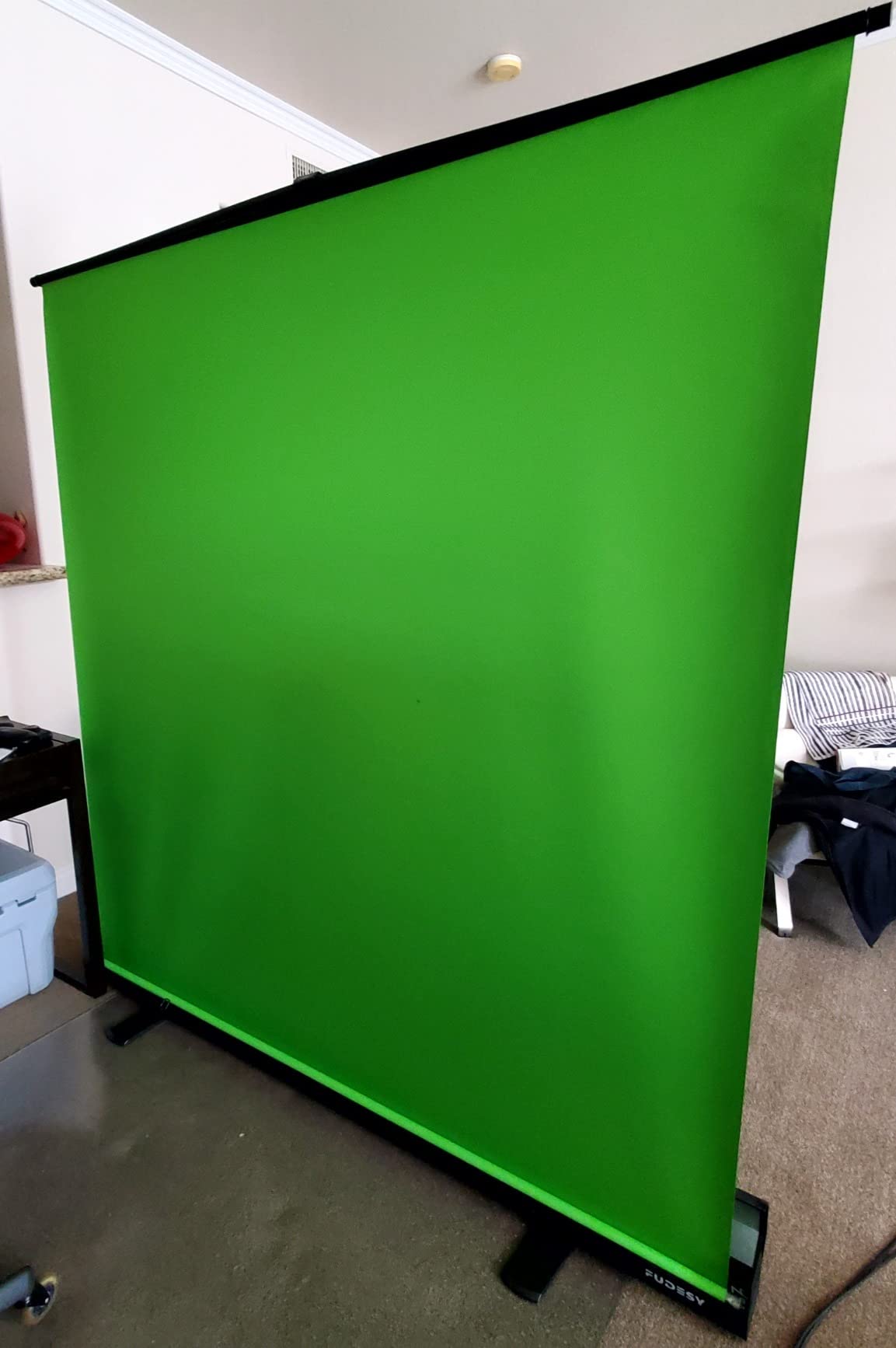 FUDESY 74x76in Collapsible Green Screen, Portable Chroma Key Panel Backdrop customer photo 1