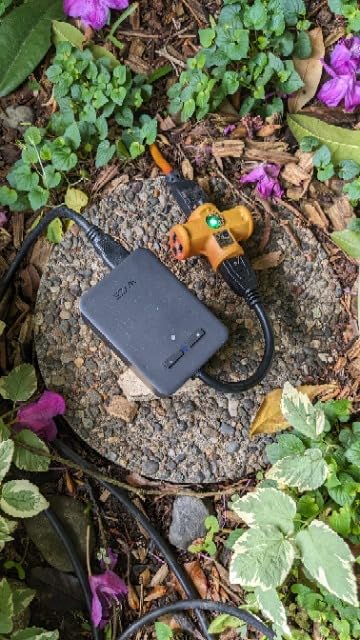 Wyze Plug Outdoor, Dual Outlets Energy Monitoring, IP64, 2.4GHz WiFi Smart Plug, Works with Alexa, Google Assistant, IFTTT, No Hub Required, Black customer photo 2