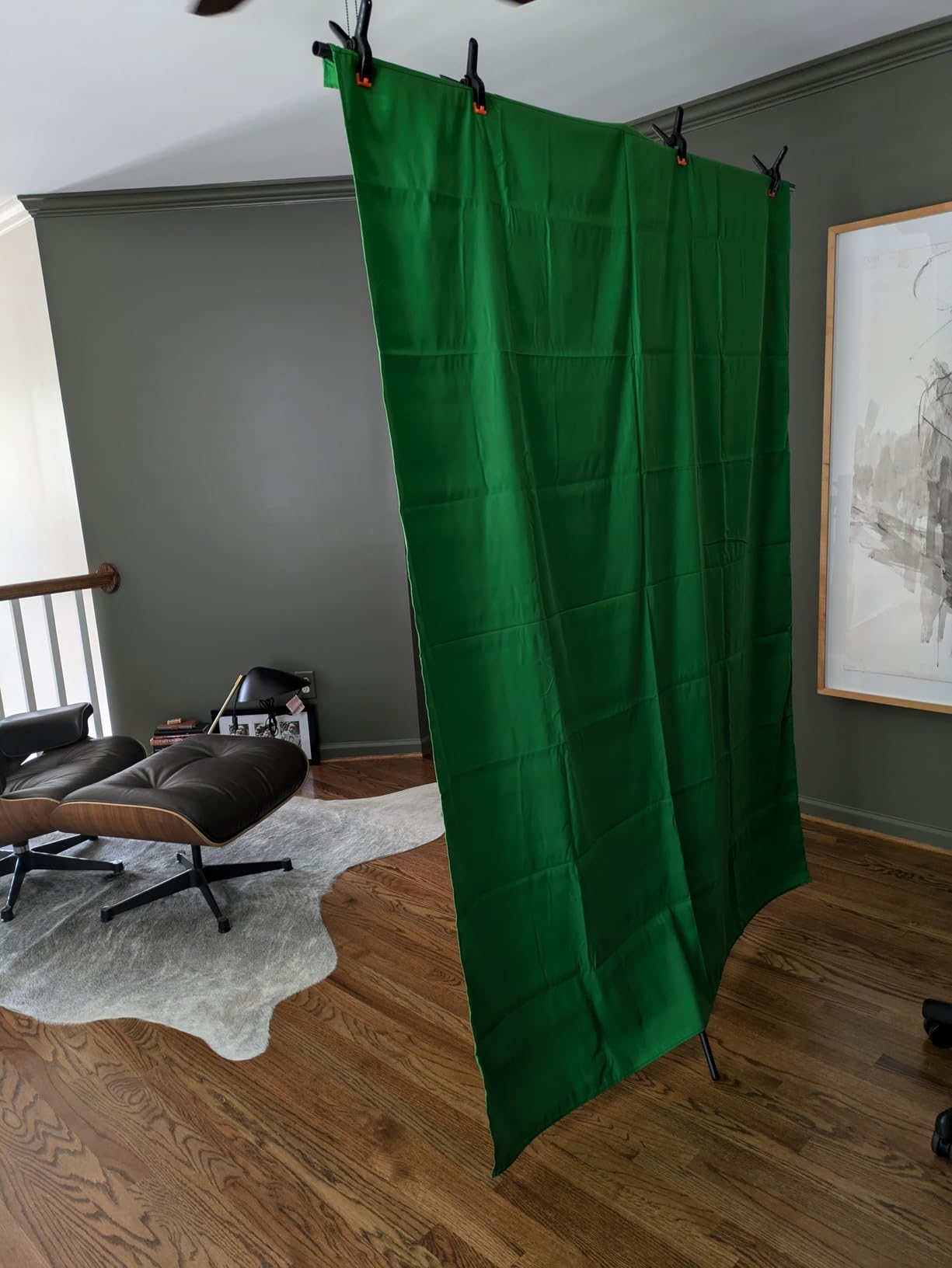 Hemmotop Green Screen Stand 7x5 ft(HxW) with 6.5x5 ft Backdrop Kit customer photo 1