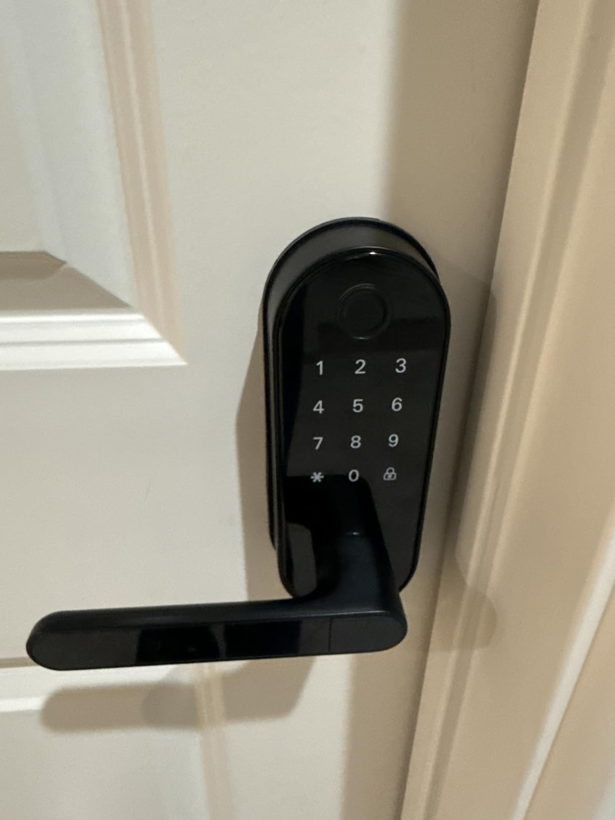 Fingerprint Smart Door Lock with Handle & Keypad – Bluetooth Keyless Entry for Front Door, Home, Kids, Guests, Airbnb & Rental, App + Code Access, Compatible with Alexa & Google, Easy DIY Install customer photo 1