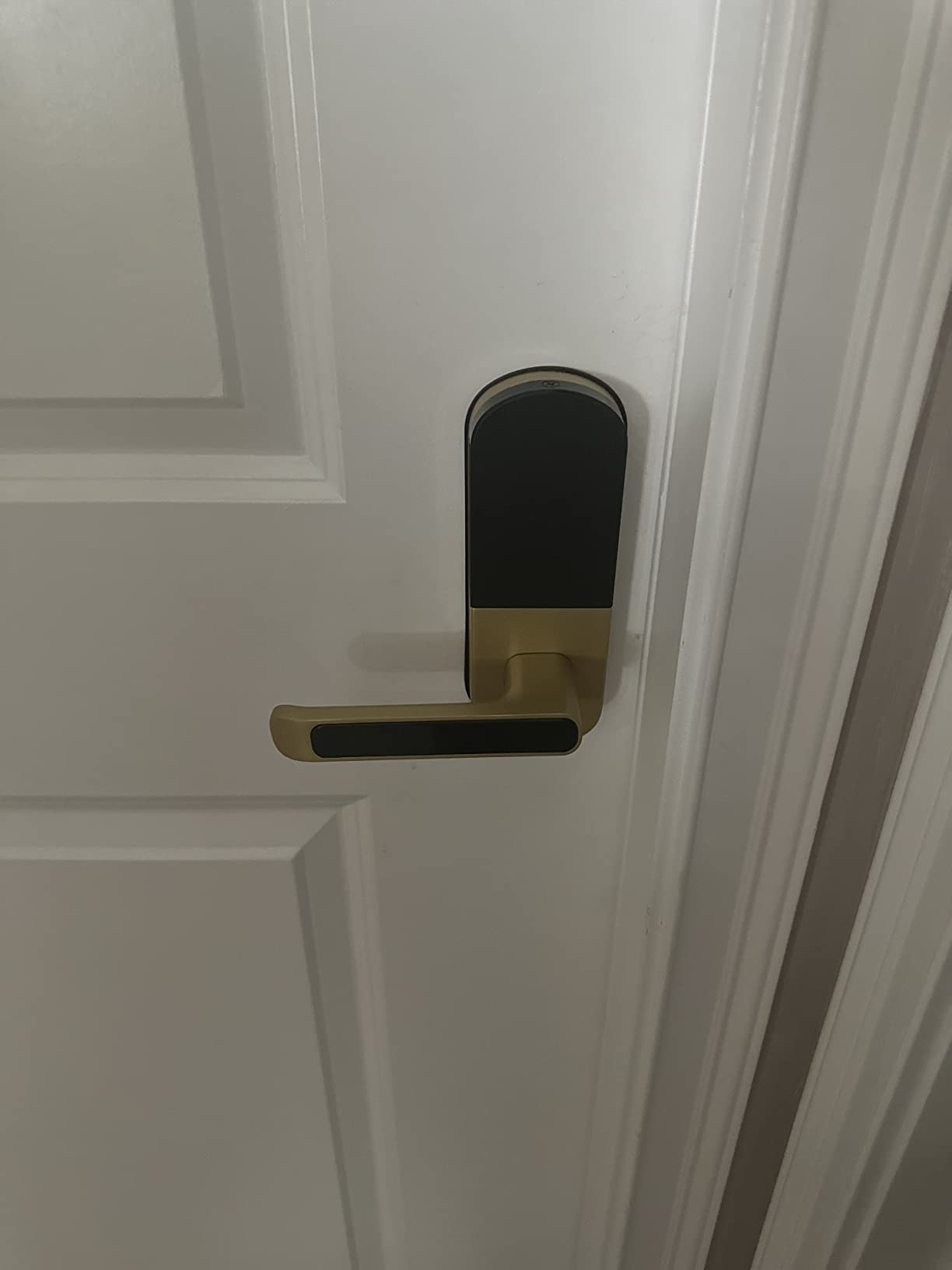 Fingerprint Smart Door Lock with Handle & Keypad – Bluetooth Keyless Entry for Front Door, Home, Kids, Guests, Airbnb & Rental, App + Code Access, Compatible with Alexa & Google, Easy DIY Install customer photo 2