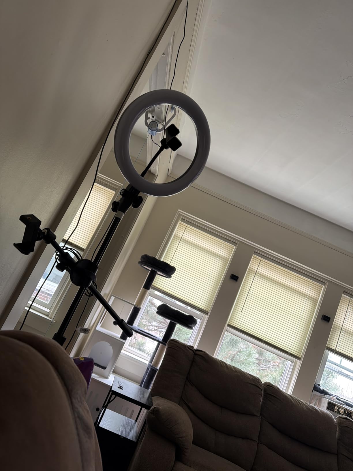 Upgrade Tripod Ring Light Stand with 2 Telescopic Arms -67