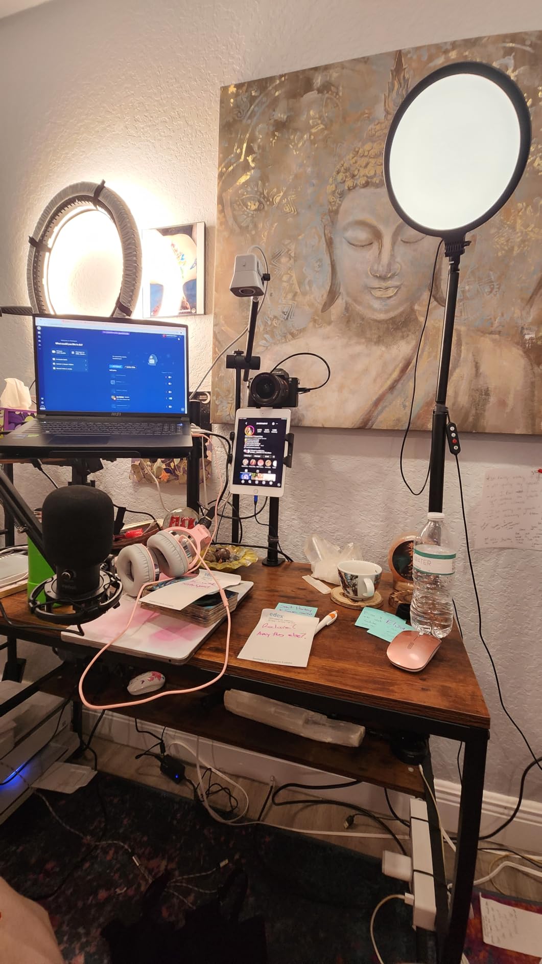 Overhead Camera Mount Desk Stand, Camera Arm Desk Mount Clamp Stand with 360°Adjustable Magic Arm, Webcam Arm Mount Stand w Ballhead Phone Mount for Desk Logitech Microphone Video Light Cell Phone customer photo 1