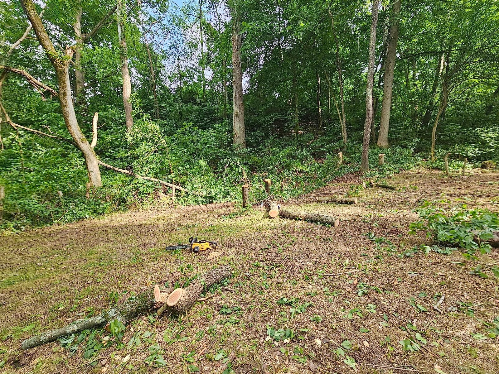 DW 60V GEN2 20IN CHAINSAW 4AH customer photo 2