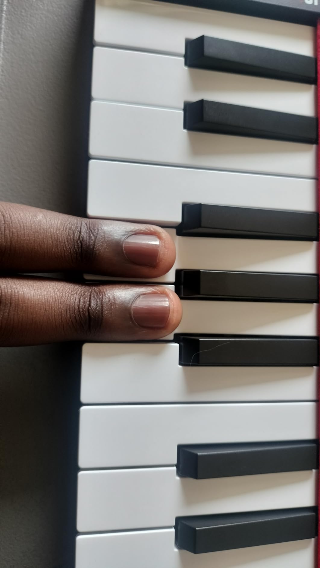 Akai Professional LPK25 25-Key USB MIDI Keyboard Controller customer photo 1