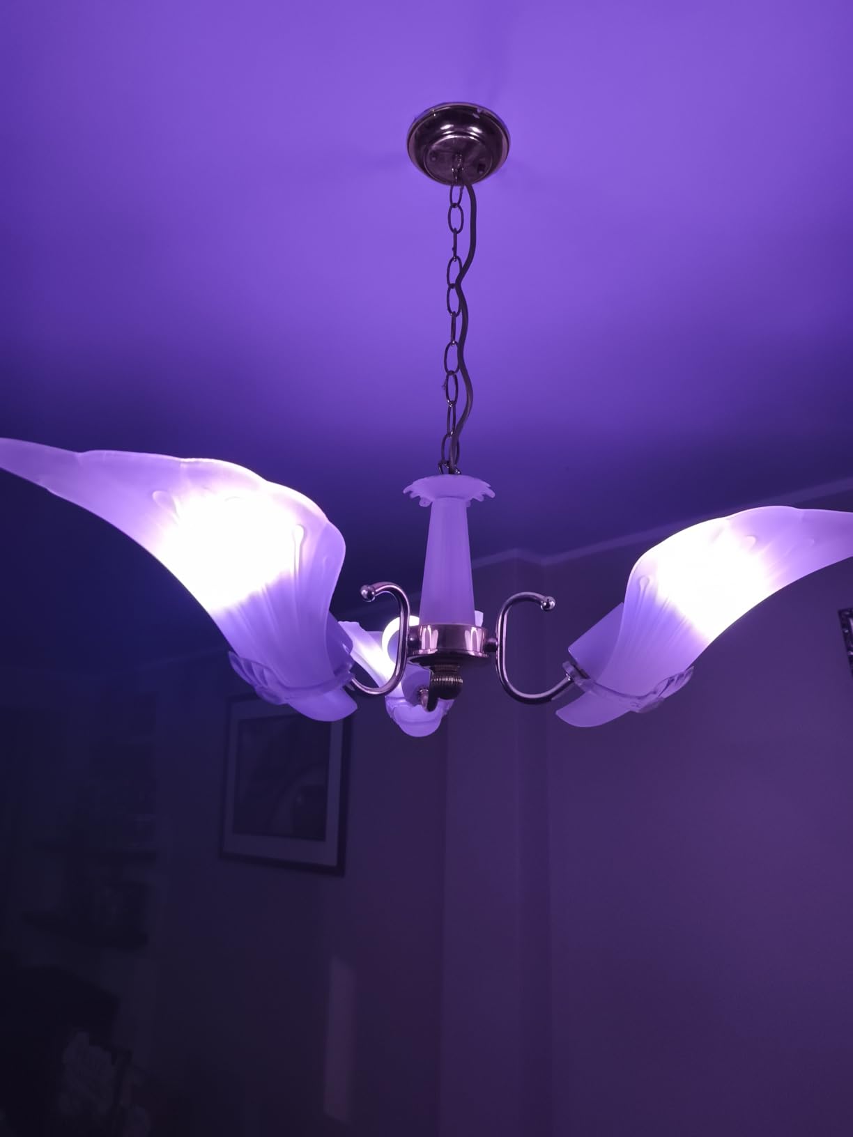 Linkind Matter Smart Light Bulbs, Work with Apple Home, Alexa, Siri, Google customer photo 2