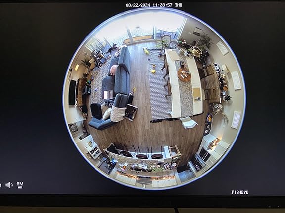 REOLINK PoE Fisheye Camera FE-P(White), 6MP 360° Multiple Panoramic Views customer photo 1