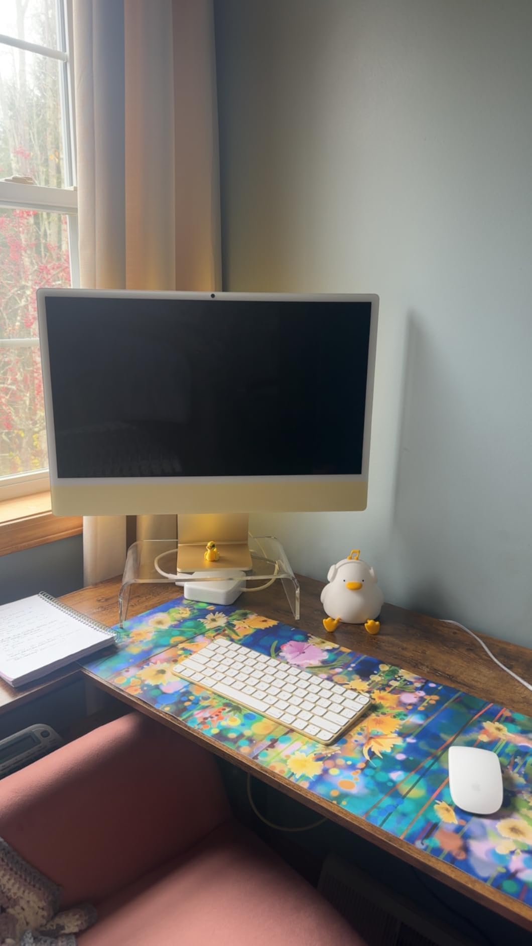 Apple 2024 iMac All-in-One Desktop Computer with M4 chip with 10-core CPU and 10-core GPU: Built for Apple Intelligence, 24-inch Retina Display, 16GB Unified Memory, 256GB SSD Storage; Silver customer photo 2