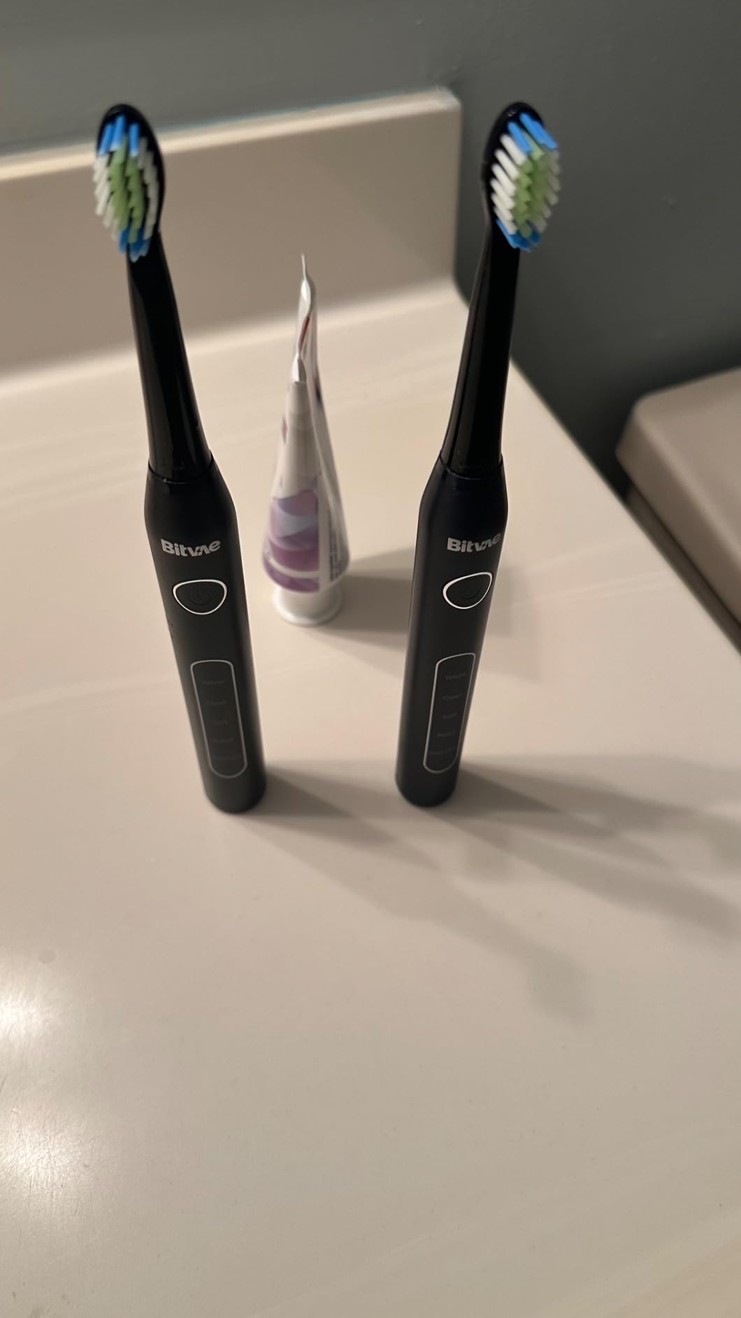 Bitvae ADA Accepted Electric Toothbrush, 60-Day Battery Travel Toothbrush customer photo 1