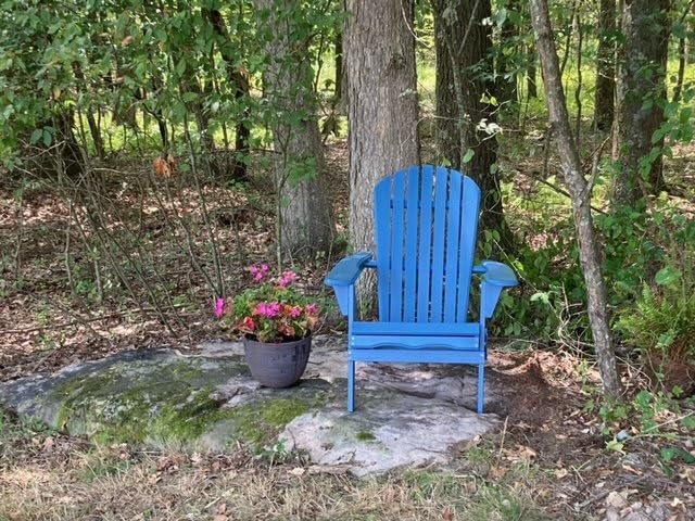 Wooden Folding Adirondack Chair Set of 4, Half Pre-Assembled Wood Lounge Chair for Outdoor Patio Garden Lawn Backyard Deck Pool Beach Firepit customer photo 1