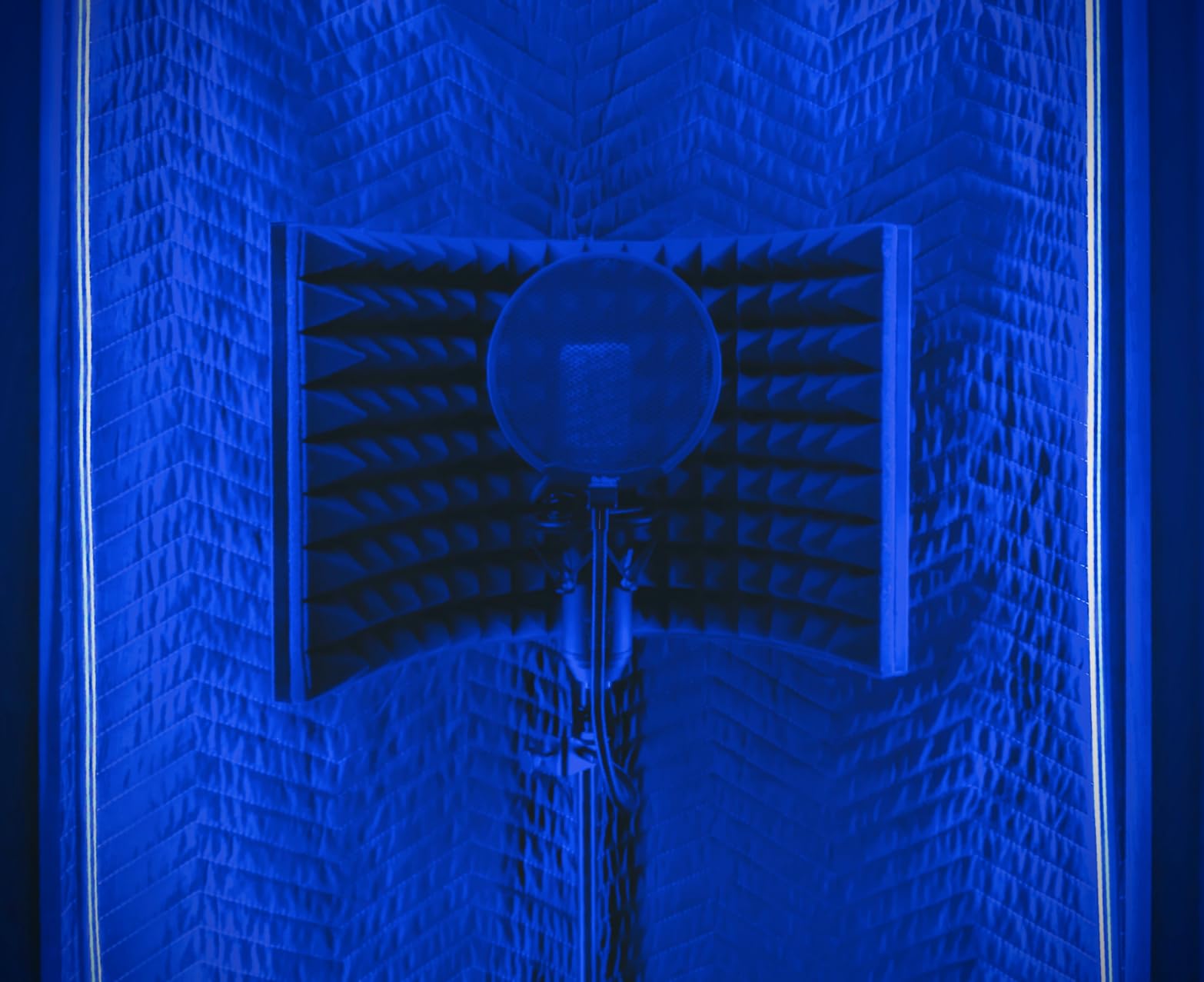Portable Recording Booth Sound Booth for Recording Echo-Free Vocals Complete Home Recording Studio Foldable Vocal Booth with Travel Bag for Voiceovers, Podcasts & Music (XL Booth) customer photo 1