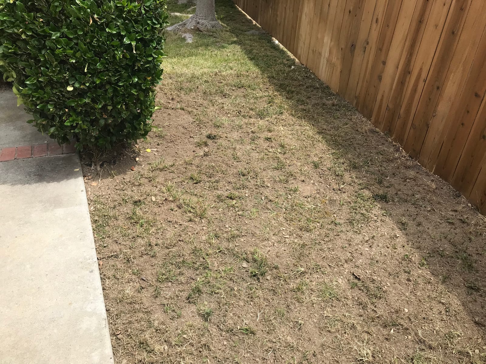 BLACK+DECKER 20V MAX* POWERCONNECT Cordless Garden Tiller Kit, Tool Only (LGC120B) customer photo 2