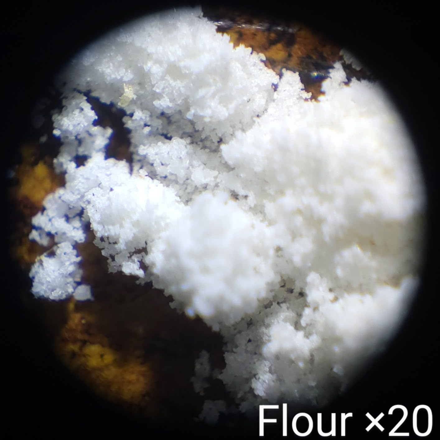 Carson Pocket Micro 20x-60x LED Pocket Microscope Handheld STEM Toy (MM-450) customer photo 2