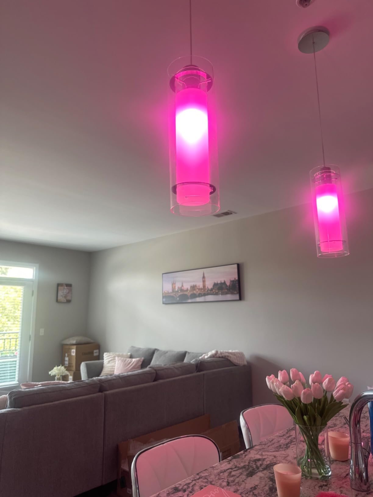 Philips Hue Smart 60W A19 LED Bulb - White and Color Ambiance Color-Changing Light - 2 Pack - 800LM - E26 - Indoor - Control with Hue App - Works with Alexa, Google Assistant and Apple Homekit customer photo 1