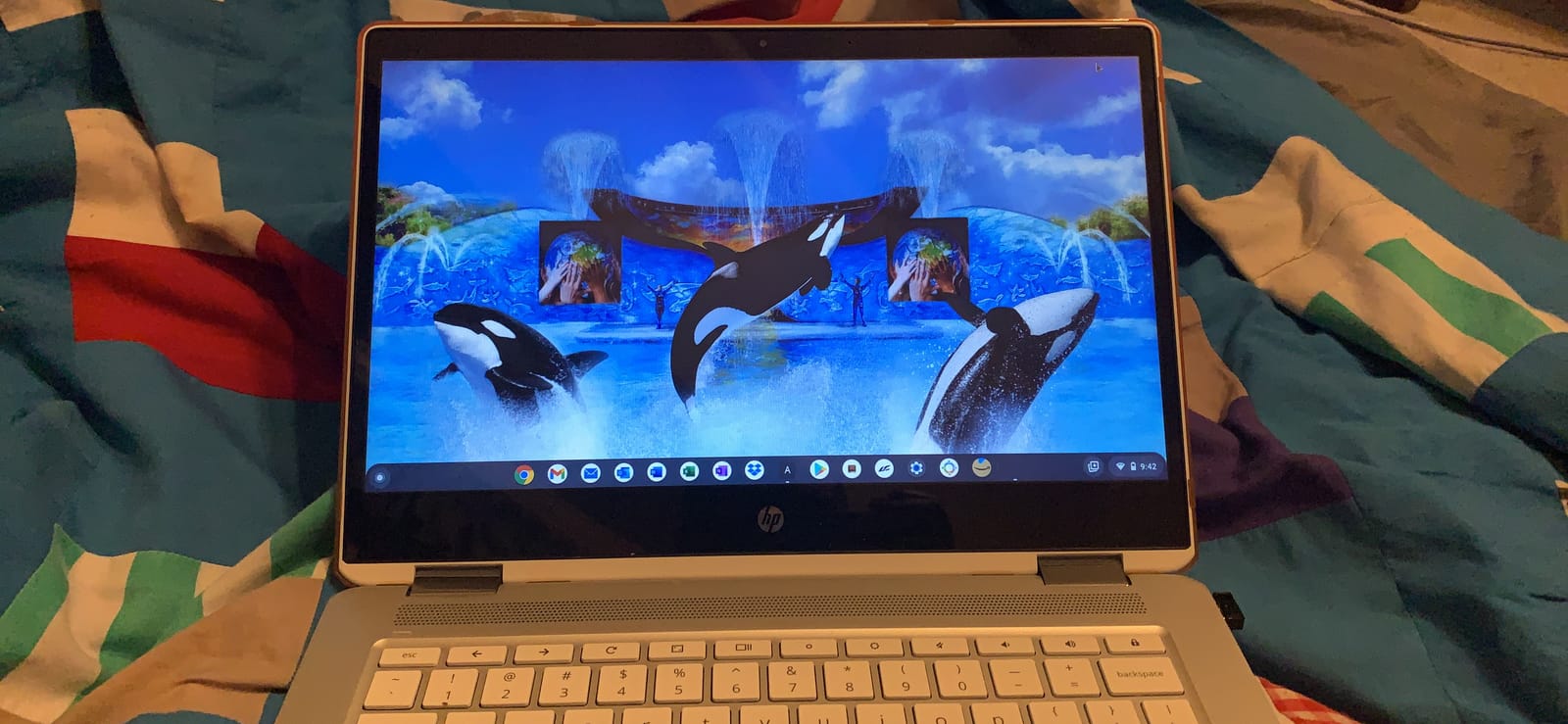 HP Chromebook x360 14 customer photo 1