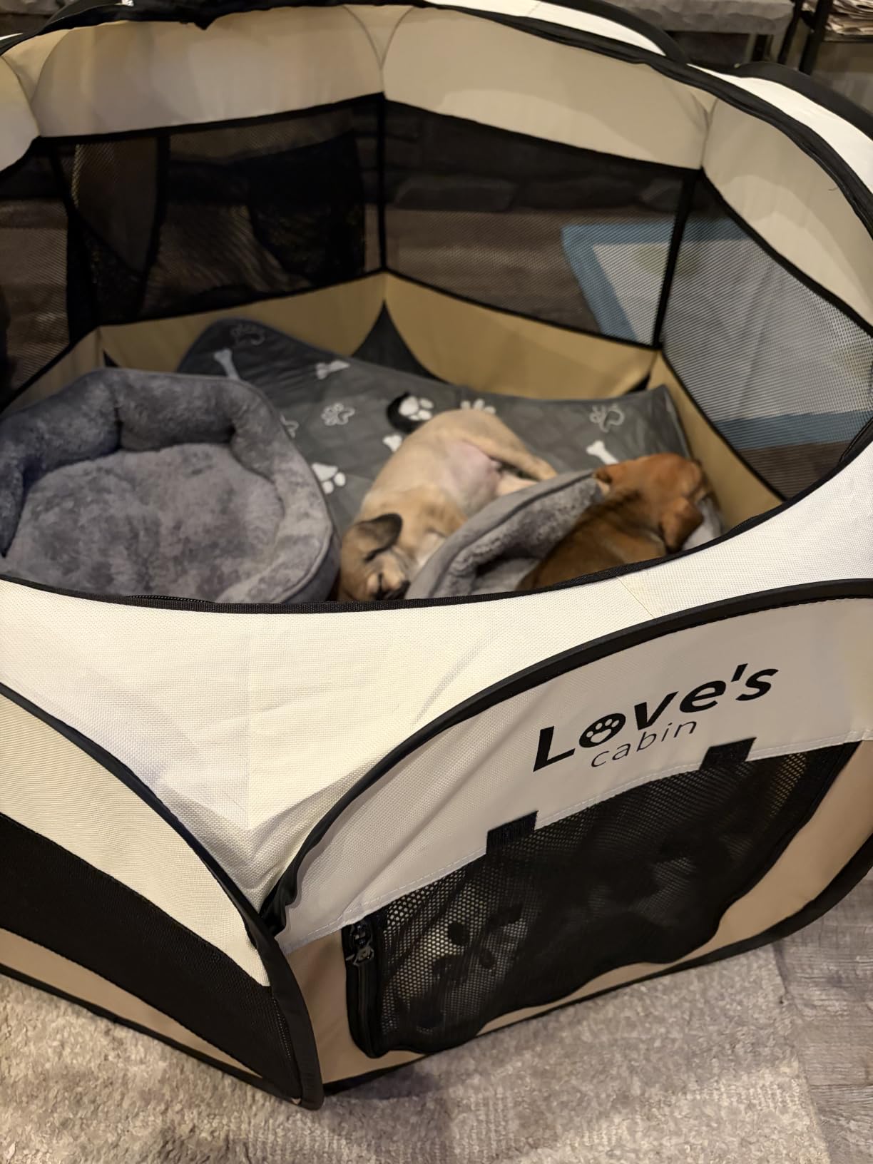 Asvin Small Dog Bed for Small Dogs, Cat Beds for Indoor Cats, Pet Bed for Puppy and Kitty, Extra Soft & Machine Washable with Anti-Slip & Water-Resistant Oxford Bottom, Grey, 20 inches customer photo 1