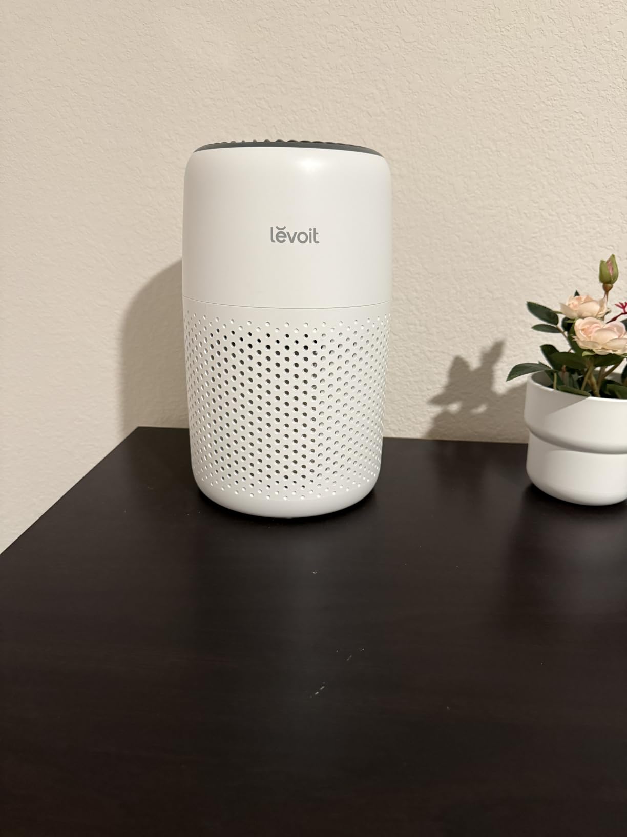 Levoit Air Purifiers for Bedroom Home Pets Dorm Room, Small Air Purifiers customer photo 2