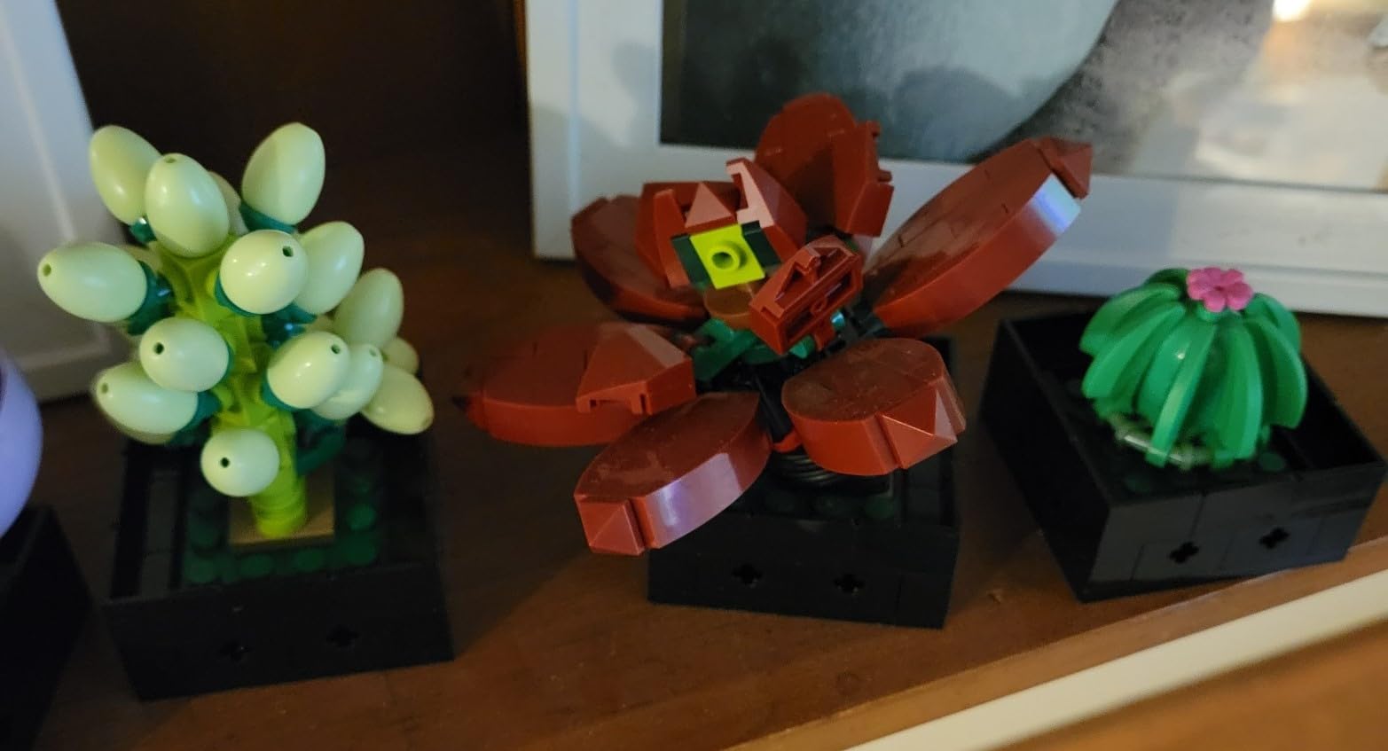 LEGO Botanicals Succulents 10309 customer photo 1